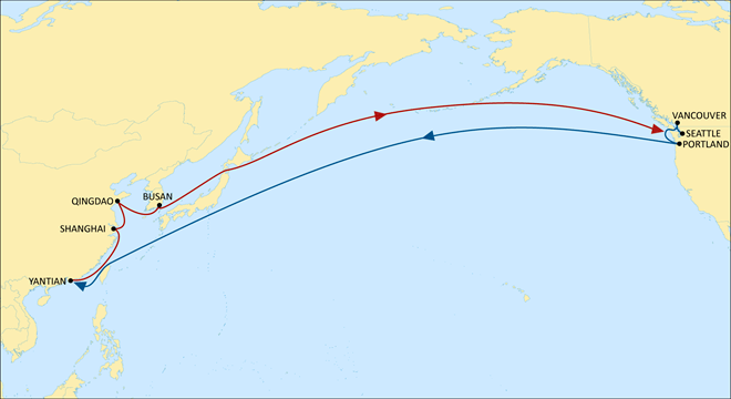 MSC升级美西北航线，青岛直达西雅图只需11天！