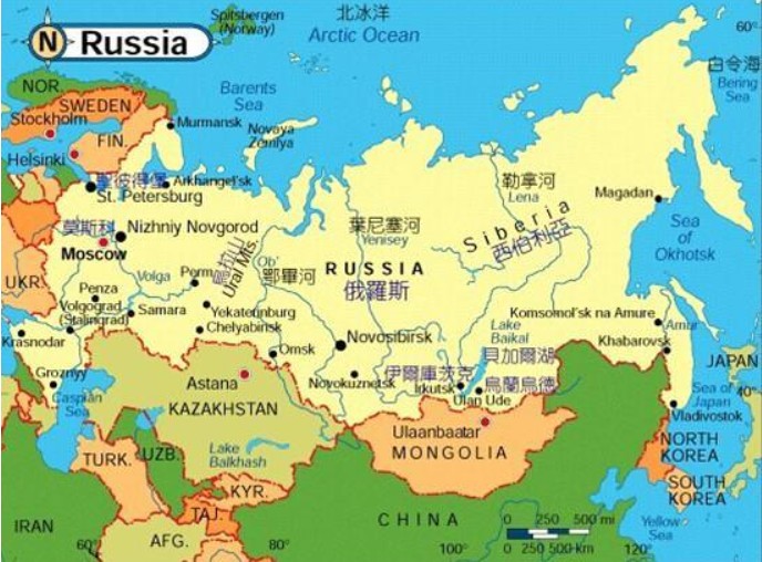 俄罗斯进口清关公司  俄罗斯进口货运代理 俄罗斯国际物流有限公司