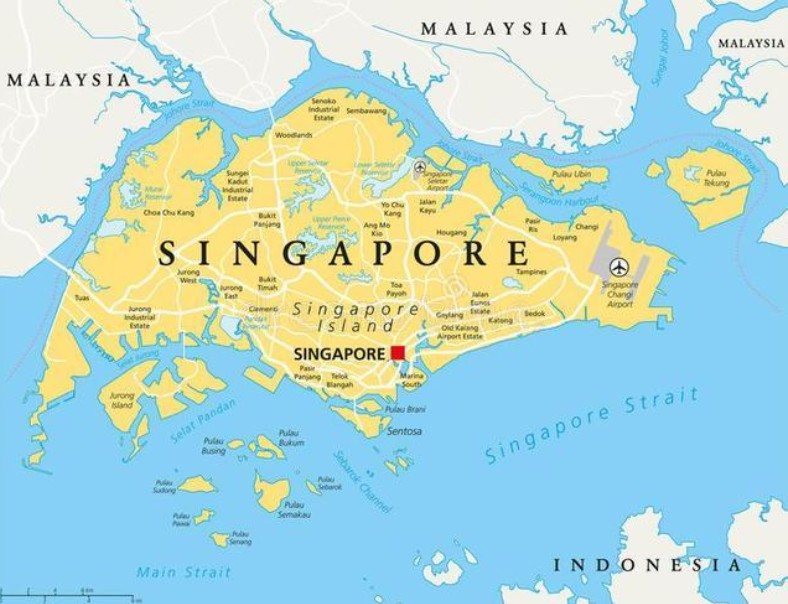 新加坡进口清关公司  新加坡进口货运代理 新加坡国际物流有限公司