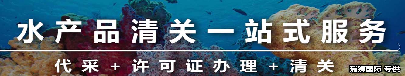 馬鈴薯出口操作流程