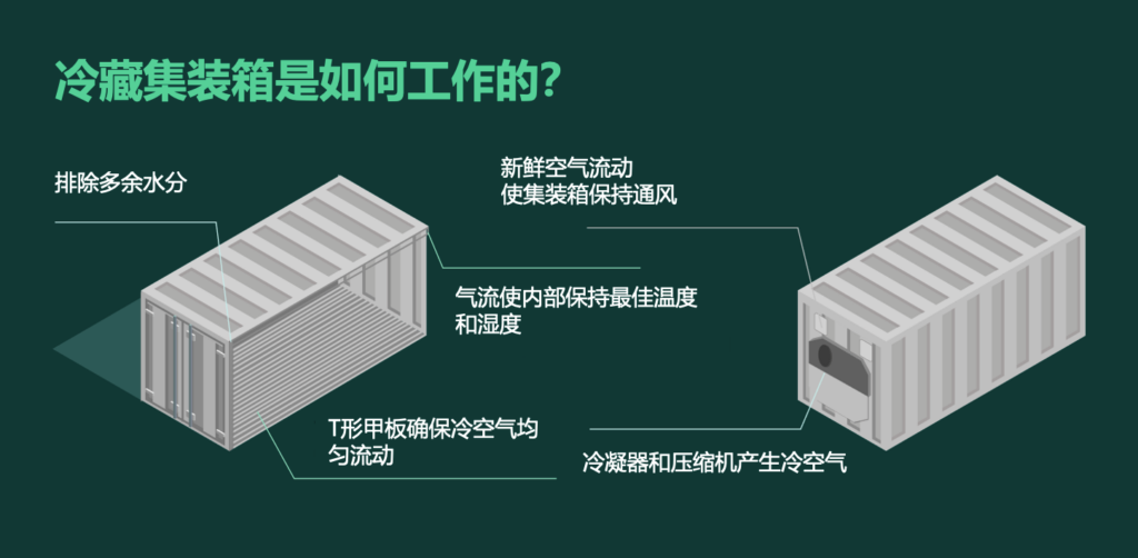 集装箱冷柜如何运作？冷藏集装箱工作原理 冷冻柜制冷原理