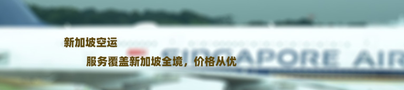 新加坡专线，新加坡包税专线，新加坡双清专线，新加坡双清快递，新加坡包税快递，电子烟到新加坡双清快递，烟油到新加坡双清包税空运快递
