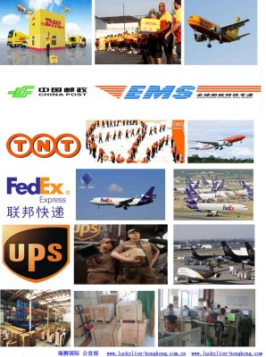 国际快递服务条款与免责条款